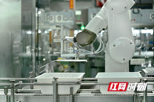 搶占智高點 智能制造驅動寧鄉經開區高質量發展，智能機器人研發成引擎