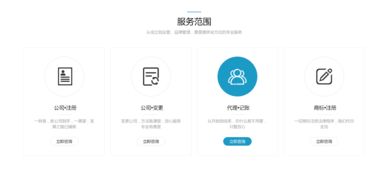 深圳鼎昱管理咨詢(xún) 融合財(cái)務(wù)管理與國(guó)內(nèi)貿(mào)易代理的專(zhuān)業(yè)網(wǎng)絡(luò)門(mén)戶設(shè)計(jì)